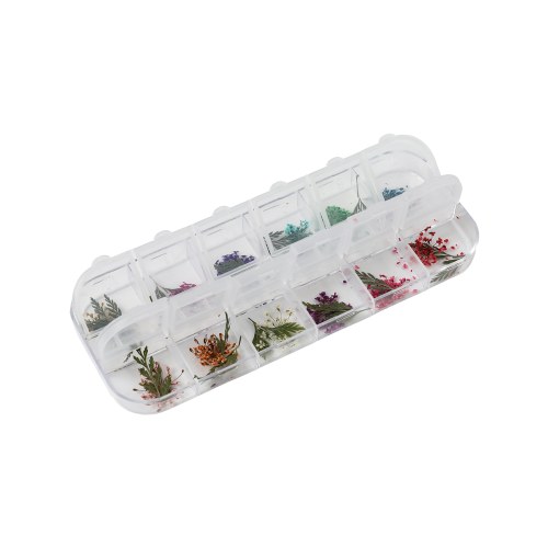 Box Dried flowers