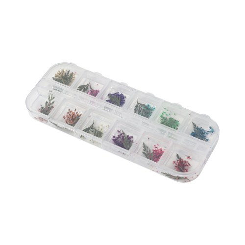 Box Dried flowers