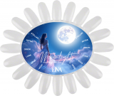 Nuancier collection Moonlight - Cat Eye