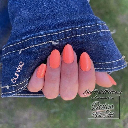 American Perfect Tips ovale Short