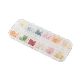 Box Fleurs Séchées Nail Art - Soft Petals