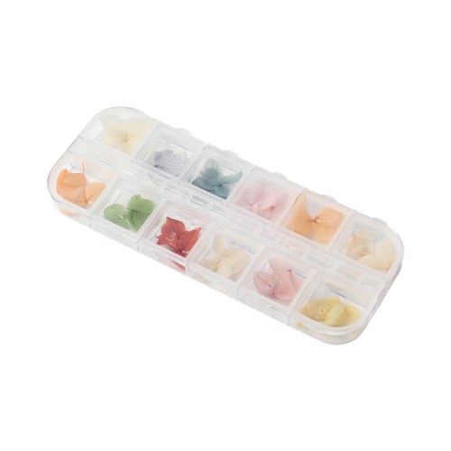 Box Fleurs Séchées Nail Art - Soft Petals
