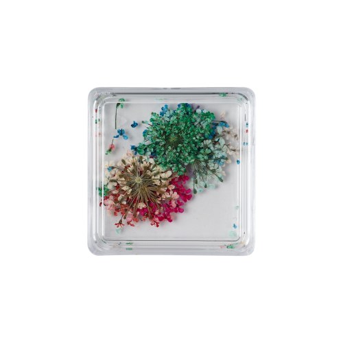 Mini Box Fleurs Séchées - Garden Pop