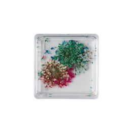 Mini Box Fleurs Séchées - Garden Pop