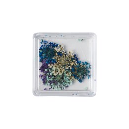 Mini Box Fleurs Séchées - Ocean Mist