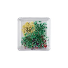 Mini Box Fleurs Séchées - Spring Meadow
