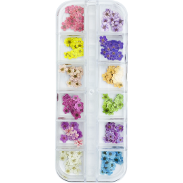 Box Flowers