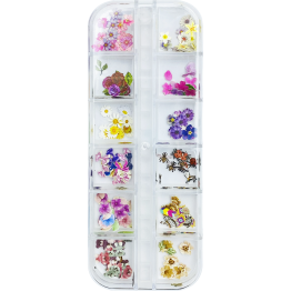 Box Flowers and Co