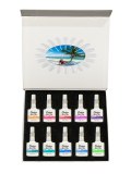 Coffret Tropical Dream