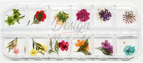 Box Fleurs Séchées Nail Art - Color Bloom
