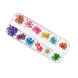 Box Fleurs Séchées Nail Art - Floral Pop