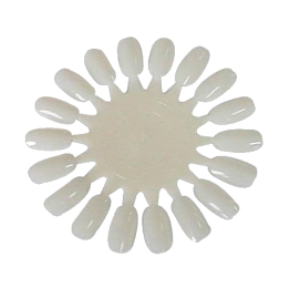 Nuancier naturel rond